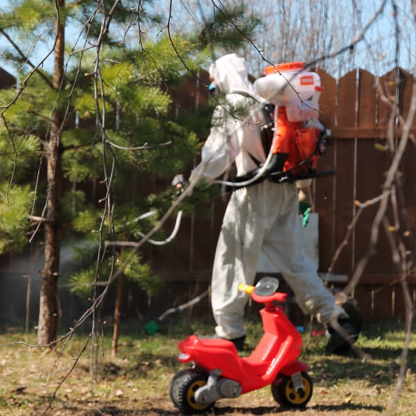 Обработка участка от клещей в Иваново?